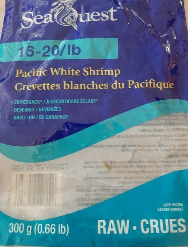 Shrimp